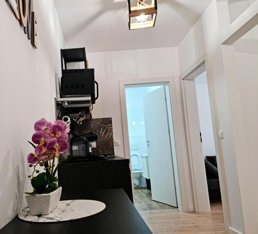 Apartament Antik No6 Alba Iulia Zewnętrze zdjęcie